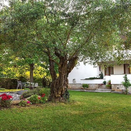 Casa Mareva Hotel Poreč Exterior foto